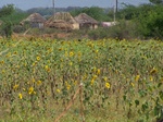 1787627042008(12).JPG