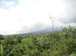 14837IMG_5230.JPG