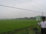 7764gt020b-cropland-irrigated-rice-tunga.jpg