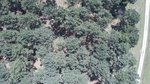 2017-06-12_13-57-37_DJI_0020.jpg
