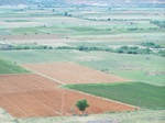 526727042008(48).JPG