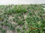 2012-10-02_09-57-33_CIMG6013.JPG