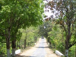 17441100_2129.JPG