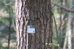 407IMG_3516.JPG