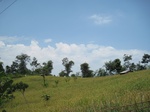 15849IMG_4390.JPG