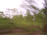 17371100_2057.JPG