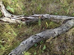 2012-10-04_13-59-50_CO-JF-157_0662.jpg