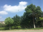 2017-09-12_14-06-08_08F7B121-8807-4795-88B4-B4F438222C78.jpg