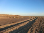 36983CIMG0773.JPG