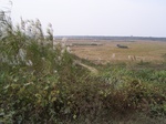 2568 144.jpg