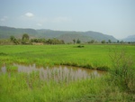 9181DSC03739.JPG