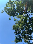 2020-08-20_17-12-37_2020-8-20-15-37-7.jpg