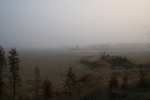 4098IMG_8733.JPG