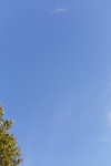 2020-09-30_14-08-27_2020-9-29-18-25-57.jpg