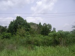 3745RIMG0049.JPG
