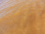 2012-09-21_14-26-50_CIMG0057.JPG