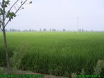 1208R0015053_tag.jpg