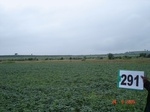 130420291b-rainfed-agriculture-soyabean.gif
