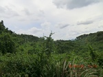 2012-09-26_20-49-23_CIMG0993.JPG