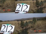 11002gt-212-wetland-perrinial-river-02.jpg