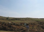 7849gt061b-wasteland-rangeland.jpg