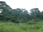 20179P1020031.JPG