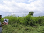 832150-scrubland-very-dwarf-valley-bottom-b.jpg
