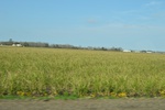 2021-02-02_12-29-25_DSC_0067.JPG