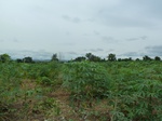 18555P1000391.JPG