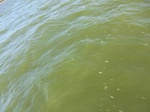 2012-09-21_14-25-33_CIMG0123.JPG
