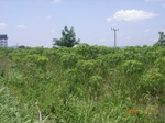 8856nigeria 066.jpg