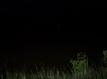 550011052008(94).JPG