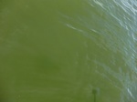 2012-09-21_14-26-14_CIMG3186.JPG
