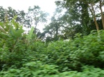 19865P1010715.JPG