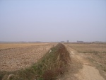 4588RIMG0033-1.JPG