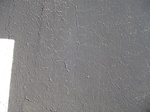 10087DSC02813.JPG