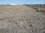 39223HOOK20110914N.JPG