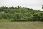 2022-06-11_17-54-45_CA02E7F2-37DB-4E0D-9369-DADD881A3556.jpeg