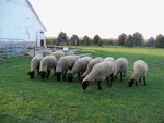 2012-09-26_17-43-48_IL-LIV-17-6.jpg
