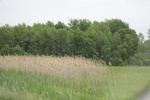 2022-06-11_17-39-01_50735EF4-E1C8-46A4-9BBC-3C26ED651D71.jpeg
