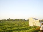 6530gt044-riperian-vegetation-1.jpg
