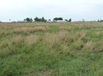 36122P1050251.JPG