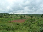 18514P1000350.JPG