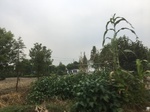 2017-09-12_05-00-22_0334D98F-CE7F-4B15-B008-1EB796733D55.jpg