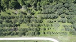 2017-06-12_13-57-38_DJI_0045.jpg