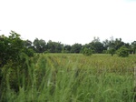 16016IMG_4746.JPG