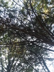 2020-10-06_18-49-40_20201006_175647.jpg