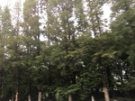 2017-09-10_20-38-53_97749E1F-E3BC-4E97-B690-0FC51E1FA8A5.jpg