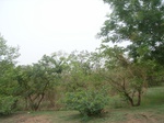 3891RIMG0195.JPG