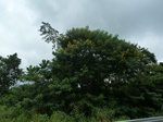 20001P1010851.JPG